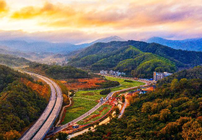 乡村美如画，荔枝红天下！14条宝藏线路出炉，畅玩广州荔枝采摘之旅