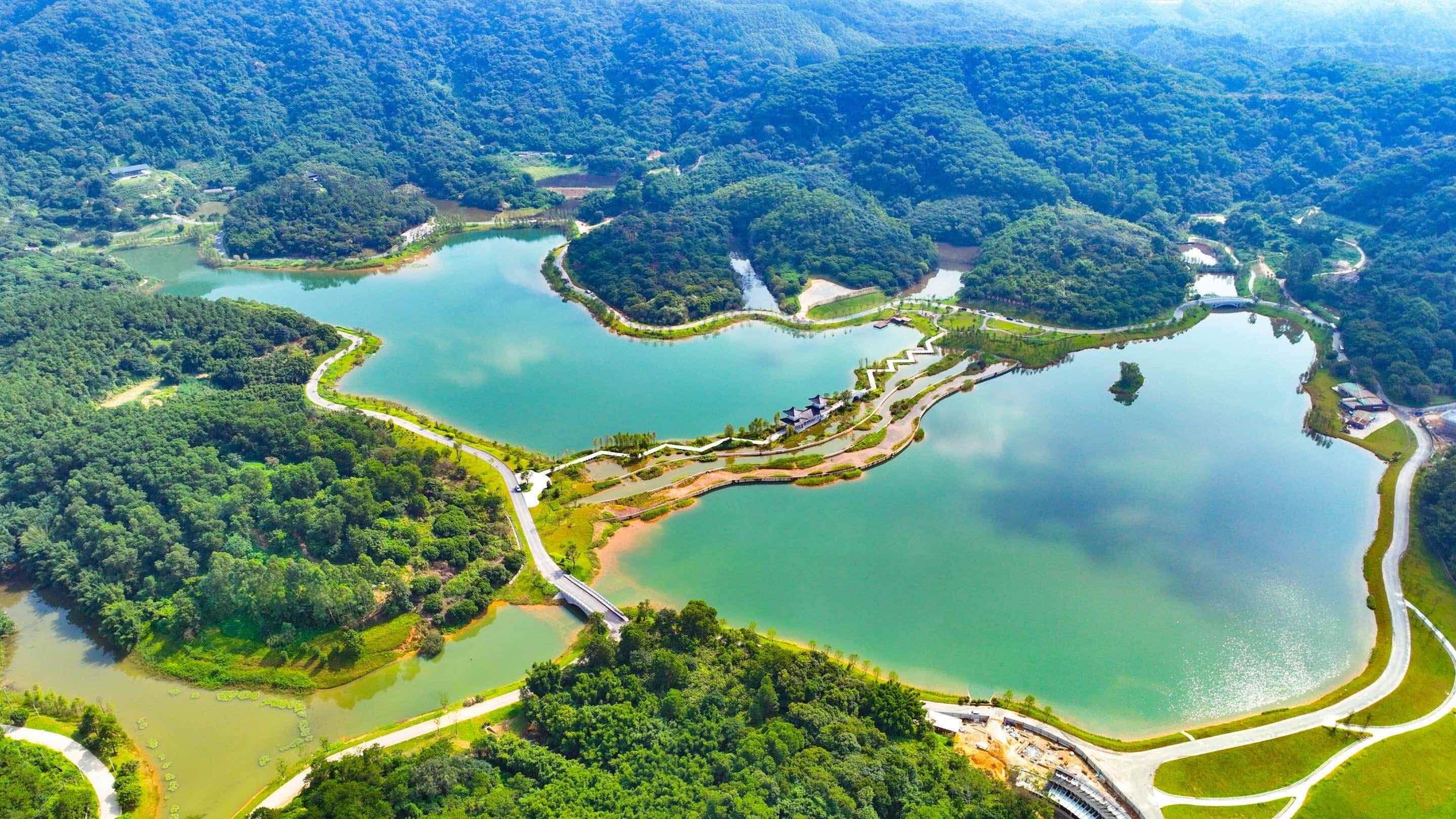 海不扬波激荡创新活力，黄埔再续“羊城八景”情缘