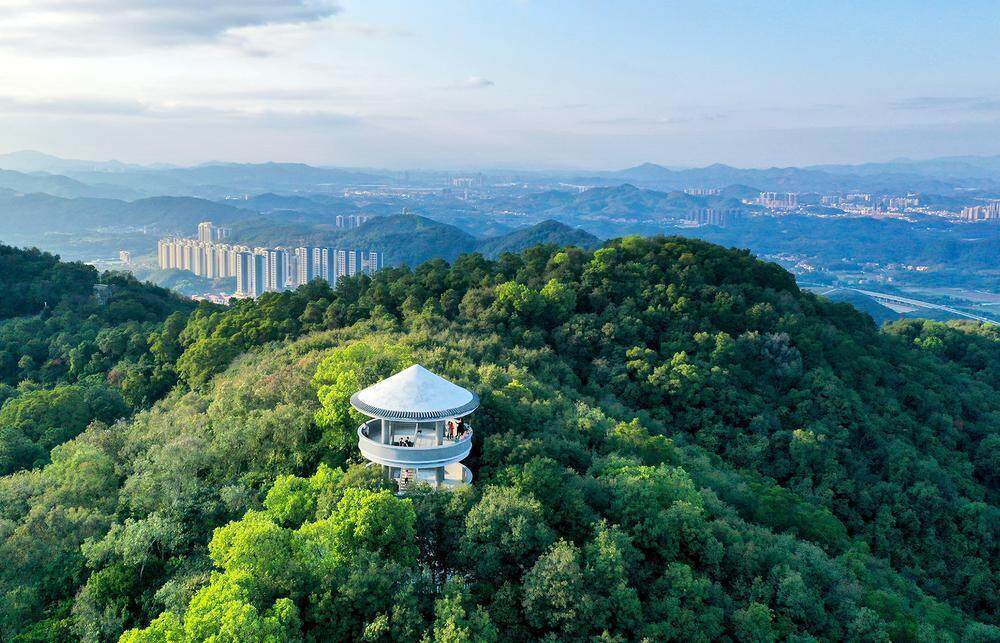 仙瀑丝苗古韵长，荔湖画廊映羊城！增城画卷邀你共赏