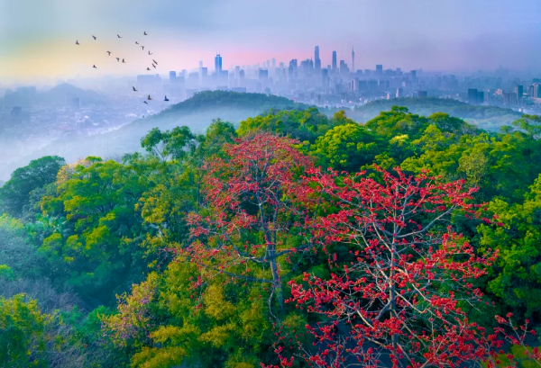 "Top Eight Sights of Guangzhou" are being chosen — Is your favorite on the list?