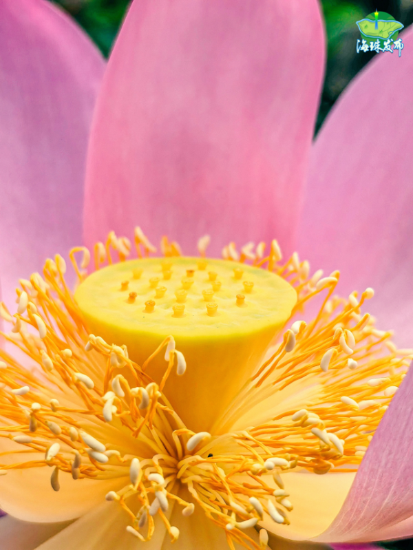 大阳城集团娱乐视频