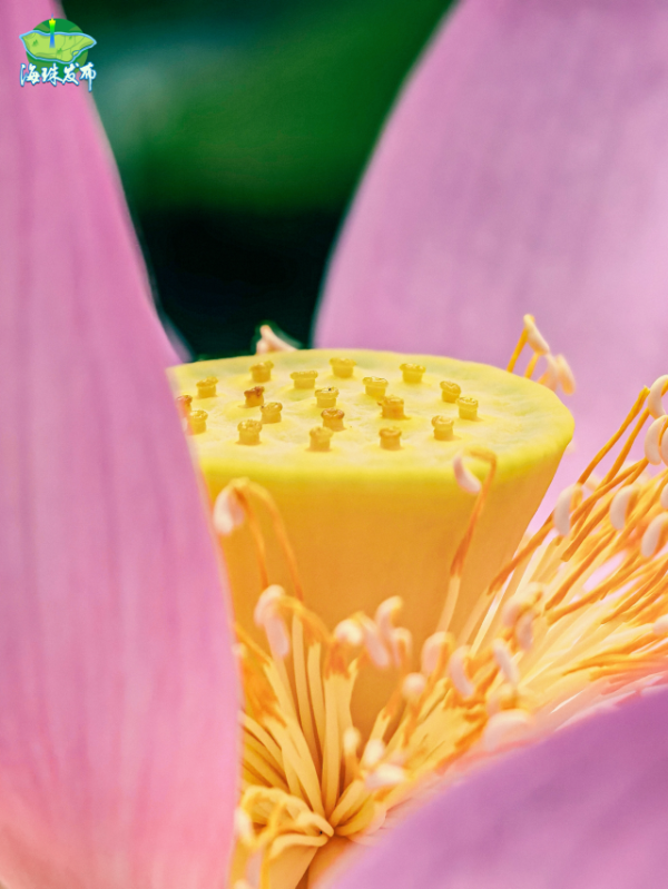 大阳城集团娱乐视频