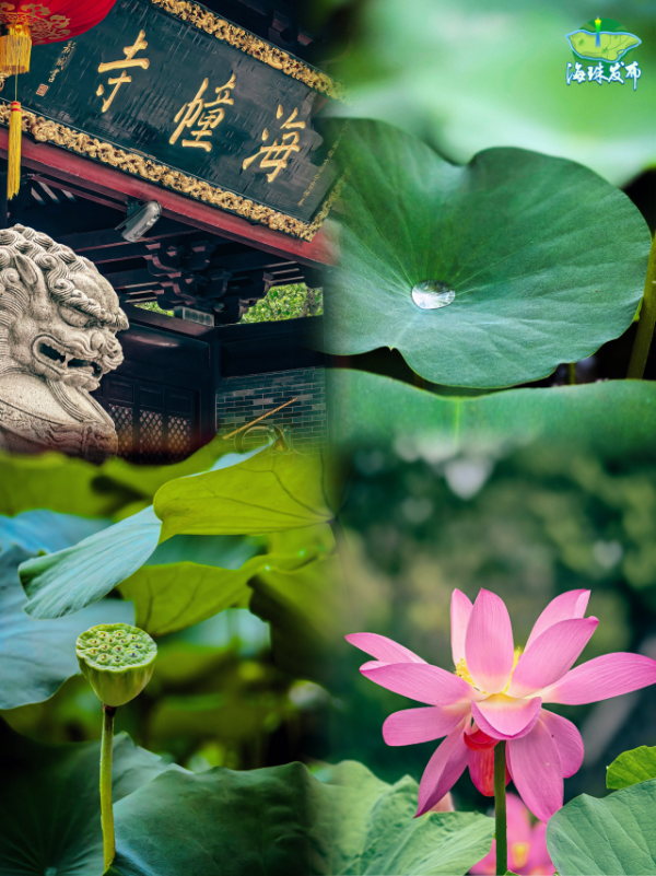 大阳城集团娱乐视频