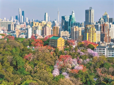 越秀古韵今辉 羊城文旅名片