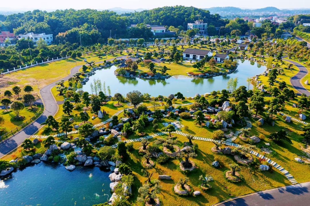 广州花都：赤坭“探路”，打造美丽中国乡镇样本