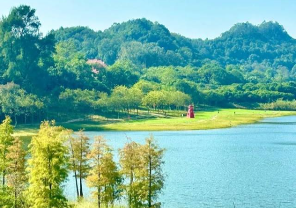 Guangzhou Nansha's summer travel: Wetlands, farm trails & maritime heritage