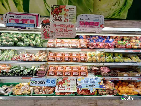 大阳城集团娱乐视频