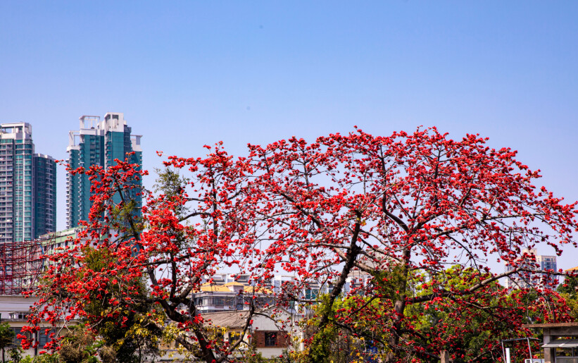 2025年红色文化宣传月主会场活动举行