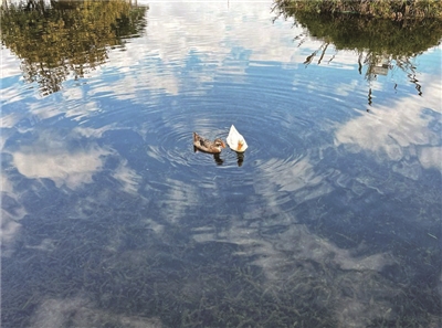流花湖入选广州市美丽河湖