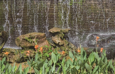 东濠涌入选广东省美丽河湖优秀案例  城央千年水脉惠泽一方