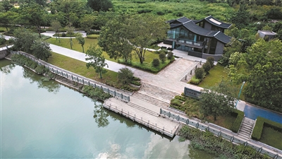 古运河岸蝶变岭南水乡画卷