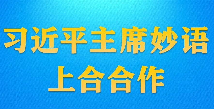 学习进行时丨习近平主席妙语上合合作