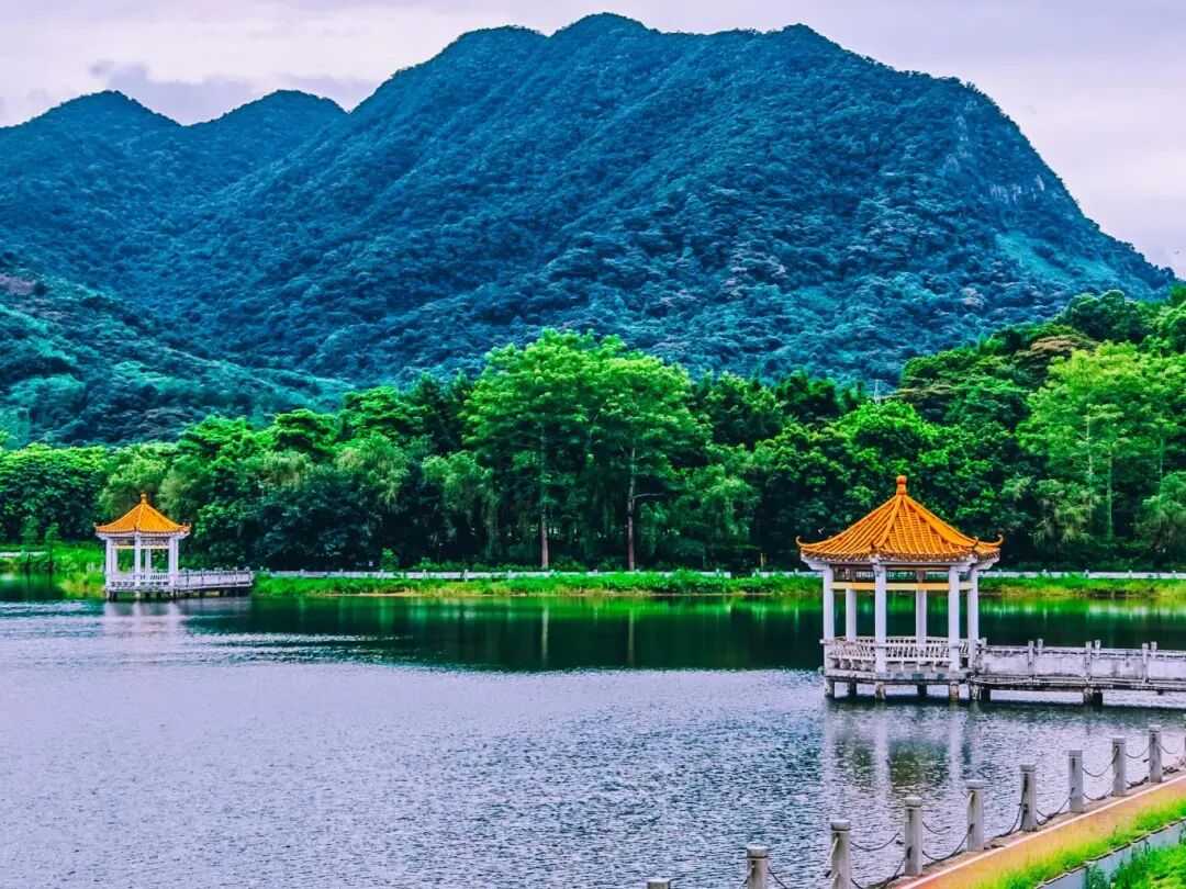 增城“美丽庭院”建设绘就乡村振兴新图景“小美”庭院扮靓“大美”乡村