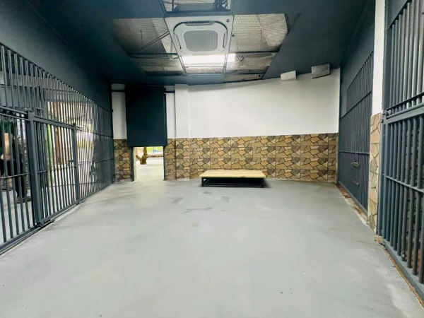 大阳城集团娱乐视频