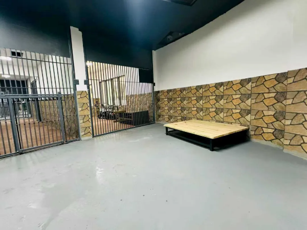 大阳城集团娱乐视频