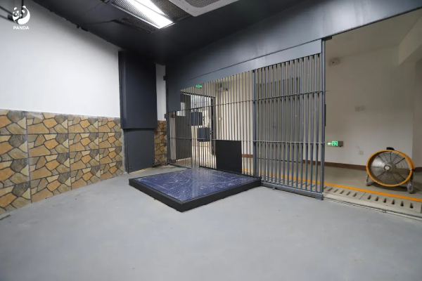 大阳城集团娱乐视频