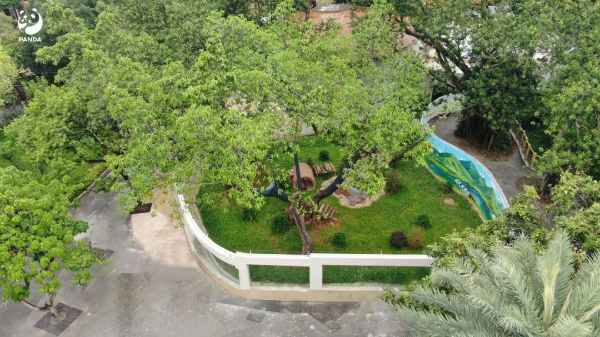 大阳城集团娱乐视频