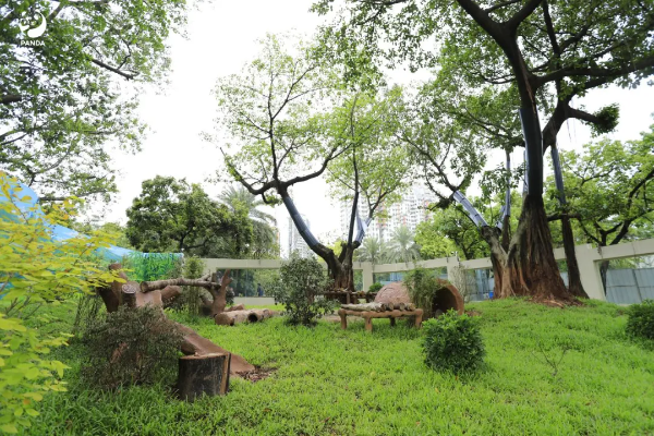 大阳城集团娱乐视频