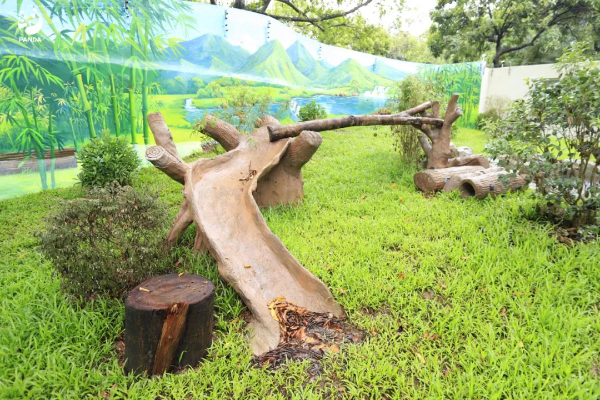 大阳城集团娱乐视频