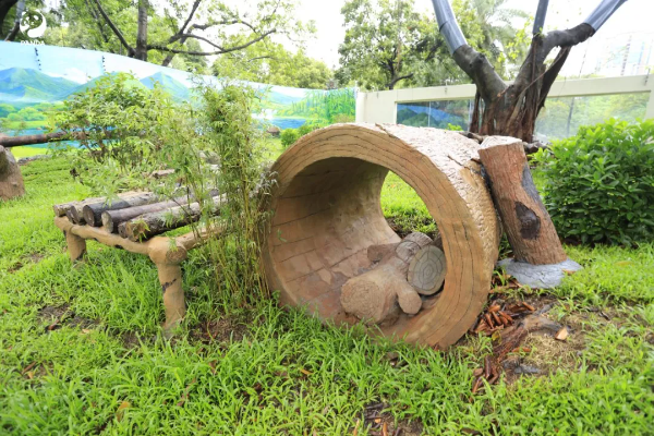 大阳城集团娱乐视频