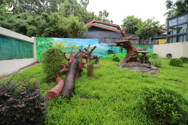 大阳城集团娱乐视频