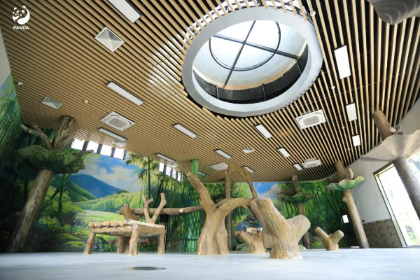 大阳城集团娱乐视频