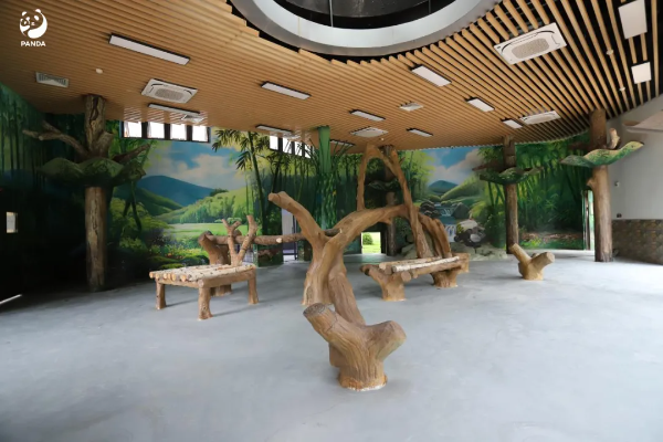 大阳城集团娱乐视频