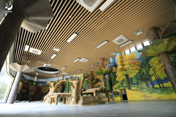 大阳城集团娱乐视频