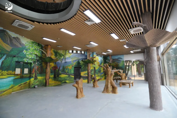 大阳城集团娱乐视频