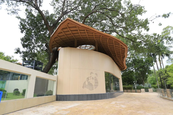 大阳城集团娱乐视频