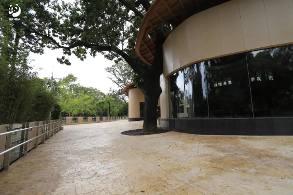 大阳城集团娱乐视频