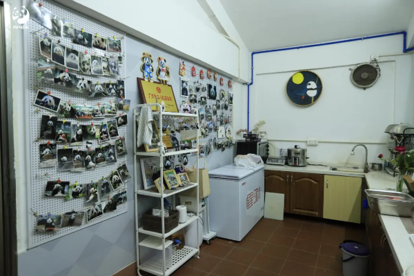 大阳城集团娱乐视频