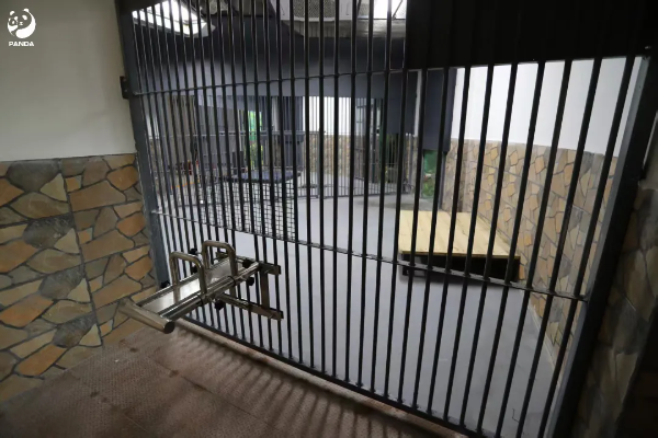 大阳城集团娱乐视频