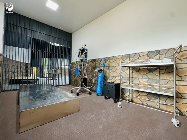 大阳城集团娱乐视频