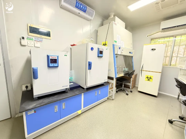 大阳城集团娱乐视频