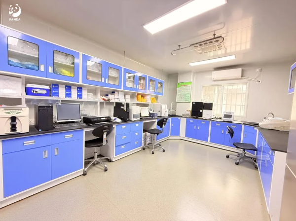 大阳城集团娱乐视频