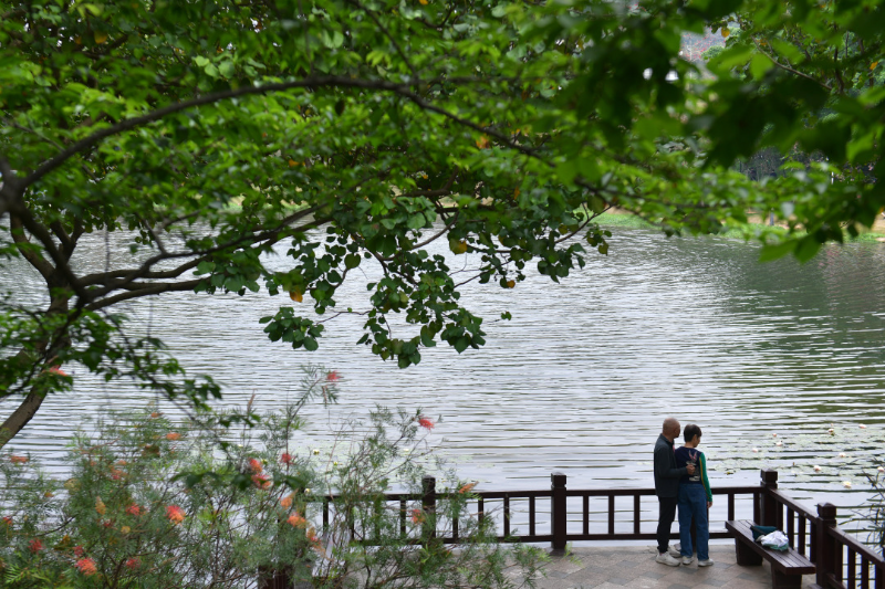 以绿为底，以花为媒！广州公园景区80余项1400多场活动“庆国庆、迎全运”