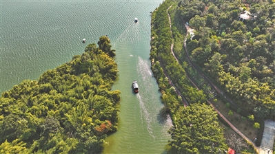 增江画廊叹“荔韵” 百里碧道融山水