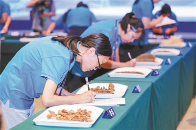 粤港澳大湾区职业技能大赛开幕
