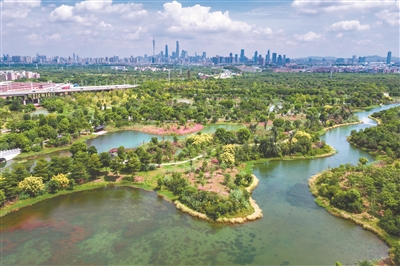 呼吸幸福感：时时约会“广州蓝”