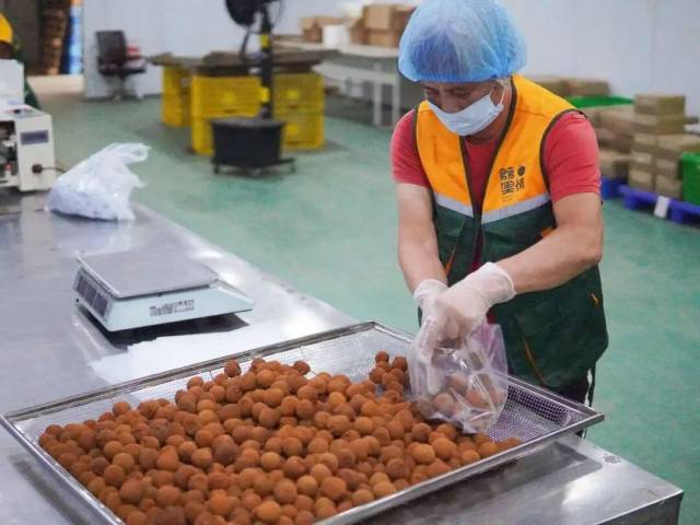 将新鲜荔枝加工成荔枝干