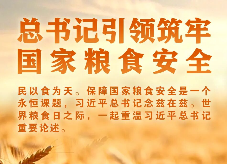 学习进行时丨总书记引领筑牢国家粮食安全