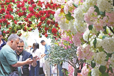 绿色浪潮席卷广交会 中国外贸在全球绿色发展浪潮下加速转型