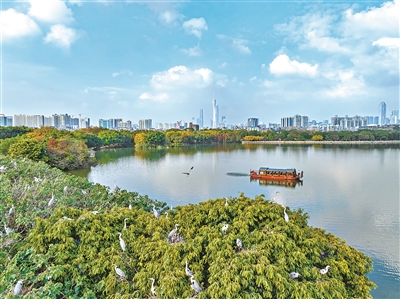 《广州市生物多样性保护战略与行动计划（2024—2030年）》印发