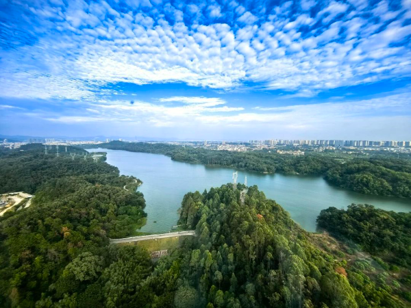 骑行、亲水、逛古村…… 花都生态廊道的N种打开方式→