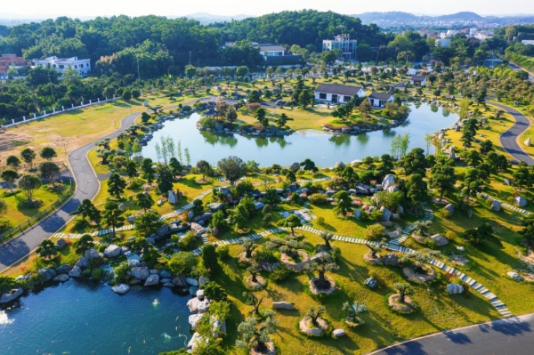 花都区竹洞村：盆景产业开新路，洪拳碧湖绘和美