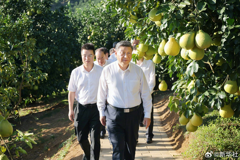 大阳城集团娱乐视频