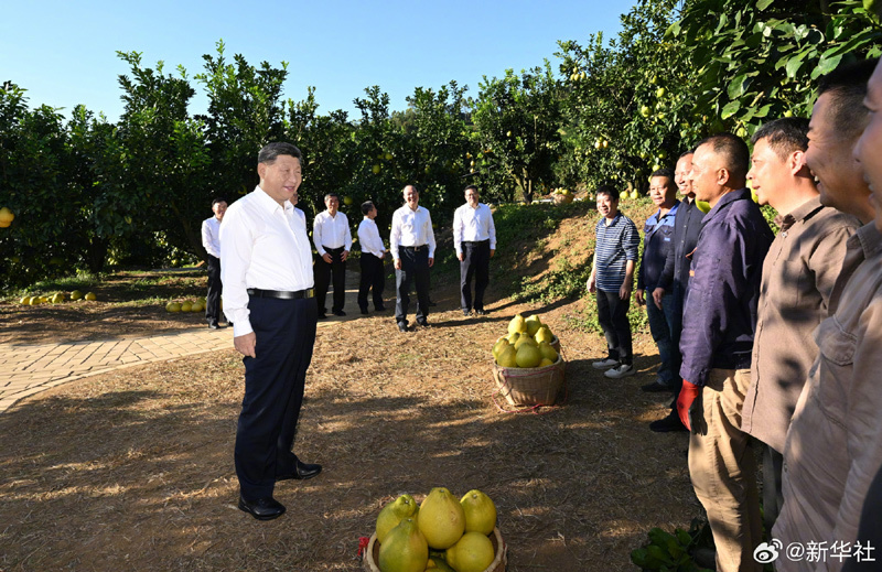 大阳城集团娱乐视频