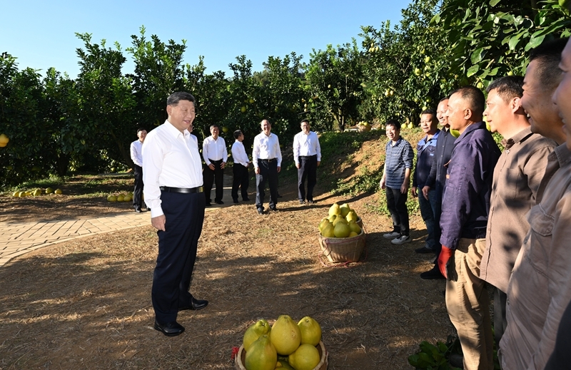 大阳城集团娱乐视频