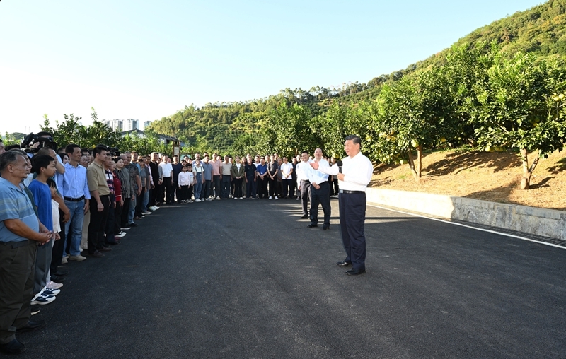 大阳城集团娱乐视频